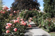 Christchurch Botanic Gardens $B%/%i%$%9%H%A%c!<%A?